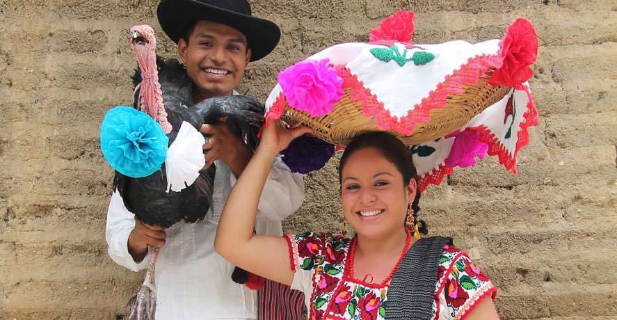 Volunteer in Mexico | $258/week | Trusted by 22000+ Volunteers Since ...