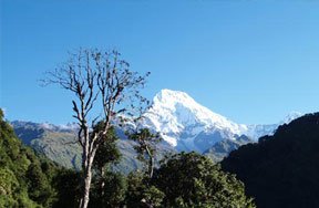 TPhoto Journalism Project in Nepal