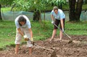 Community Development Project in Thailand