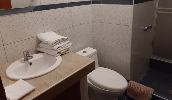 toilet-in-host-family